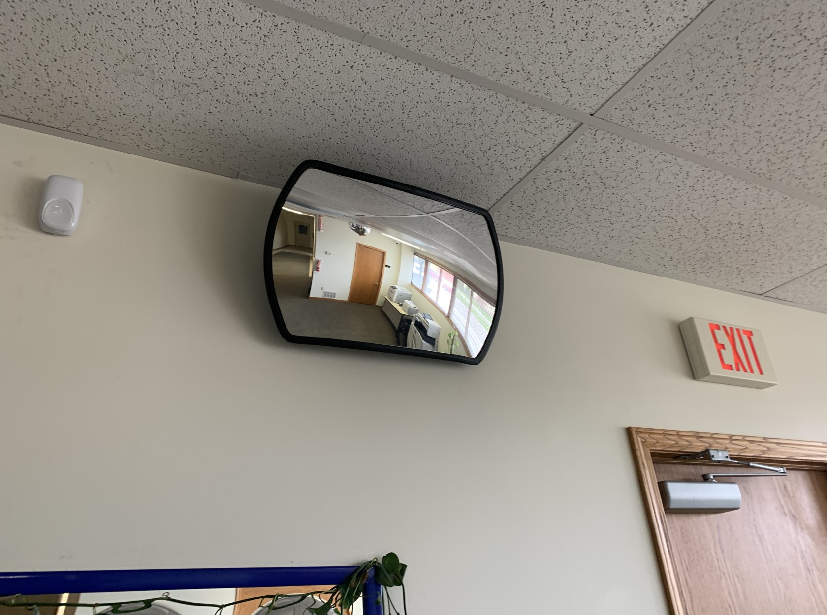 Elevate Safety in Low-Ceiling Spaces with Rectangular Convex Mirrors